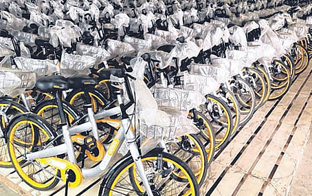 ofo cycle